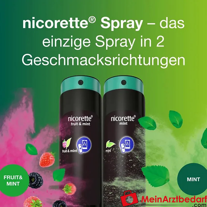 Nicorette Fruit & Mint Nikotinspray 1 mg/Sprühstoß 2 Stück