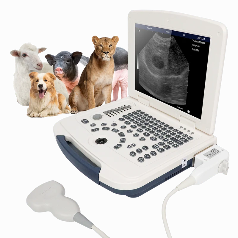 VU10 Laptop Veterinär-Ultraschall