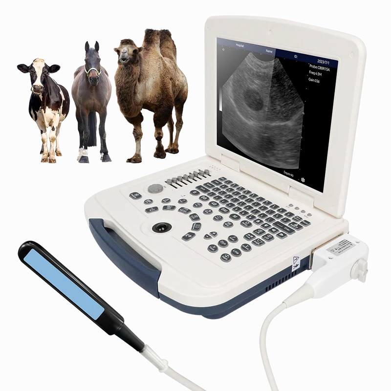 VU10 Laptop Veterinär-Ultraschall