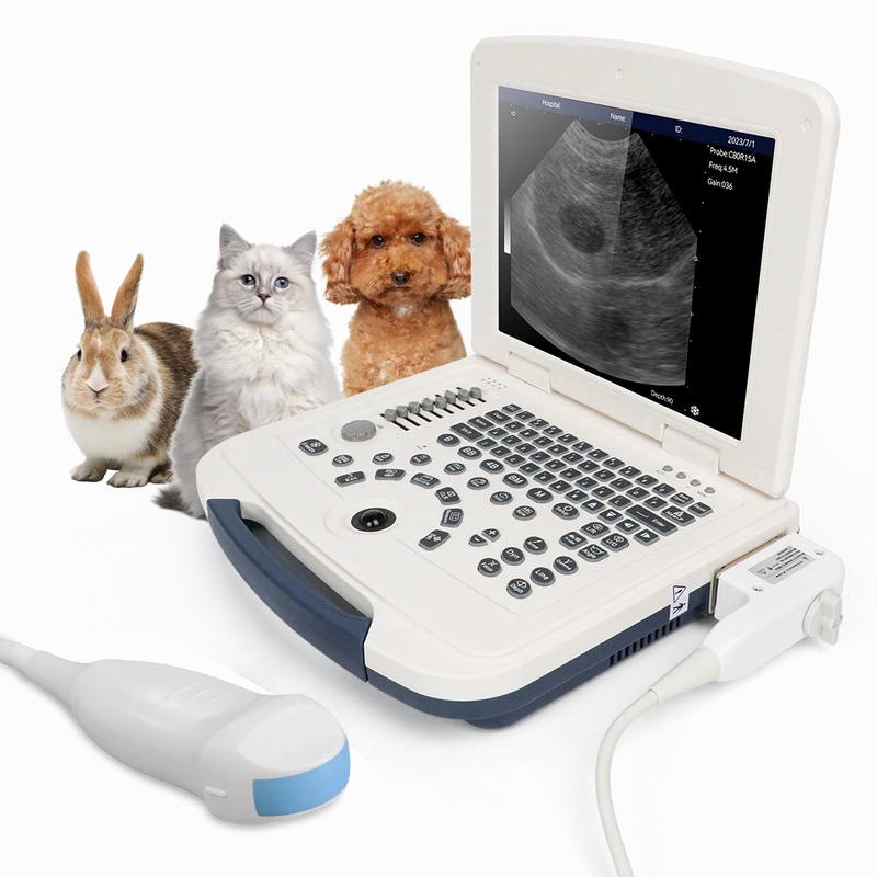 VU10 Laptop Veterinär-Ultraschall