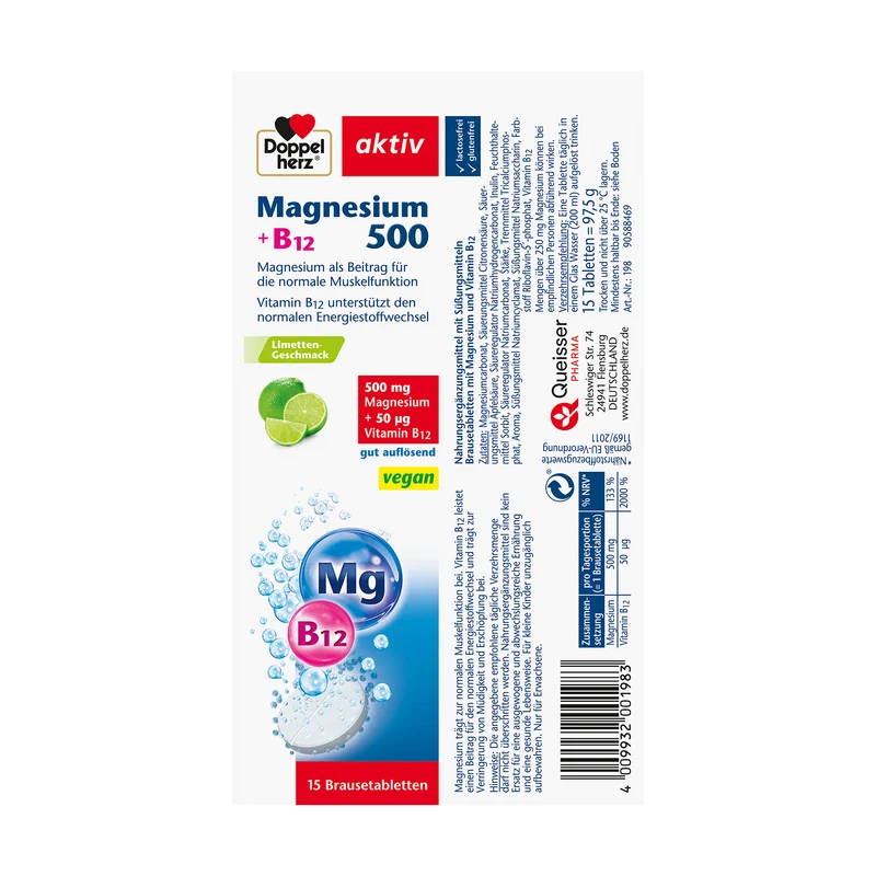 Doppelherz aktiv Magnesium 500 + B12, 15 Brausetabletten