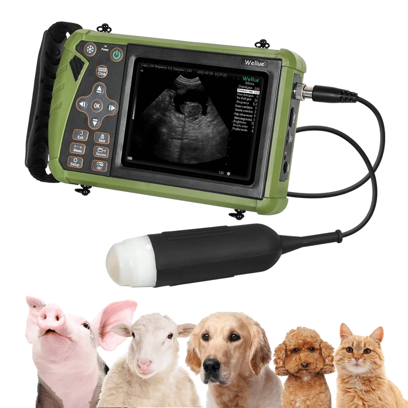 S0 Tragbarer Veterinär-Ultraschall