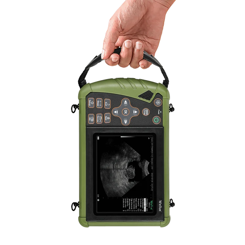 S0 Tragbarer Veterinär-Ultraschall
