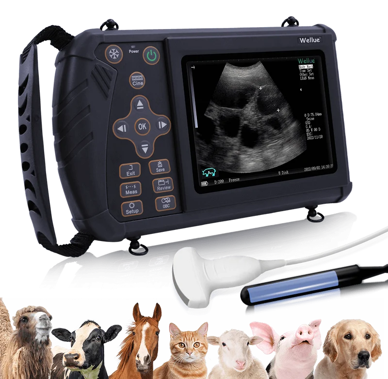 Tragbarer Veterinär-Ultraschall