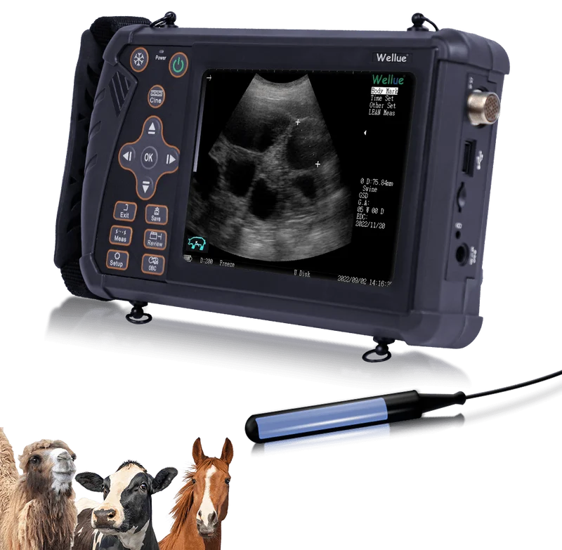 Tragbarer Veterinär-Ultraschall