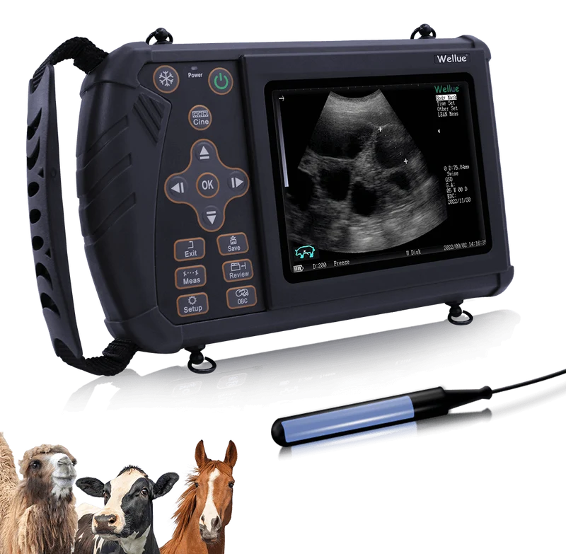 Tragbarer Veterinär-Ultraschall
