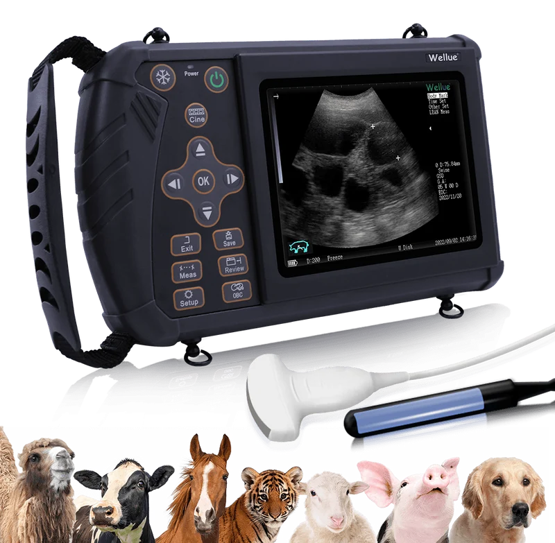 Tragbarer Veterinär-Ultraschall