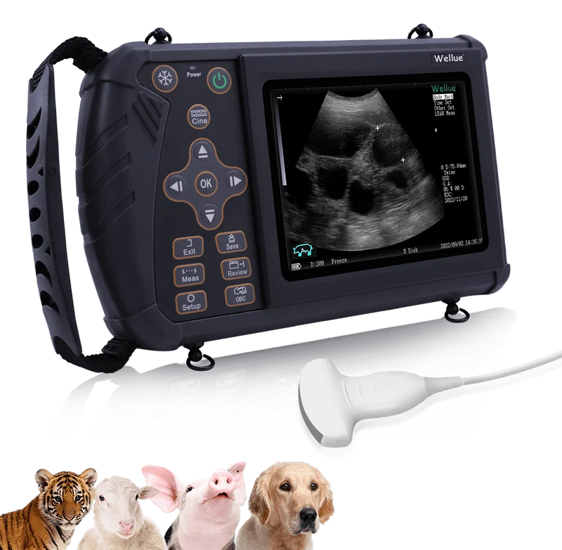 Tragbarer Veterinär-Ultraschall