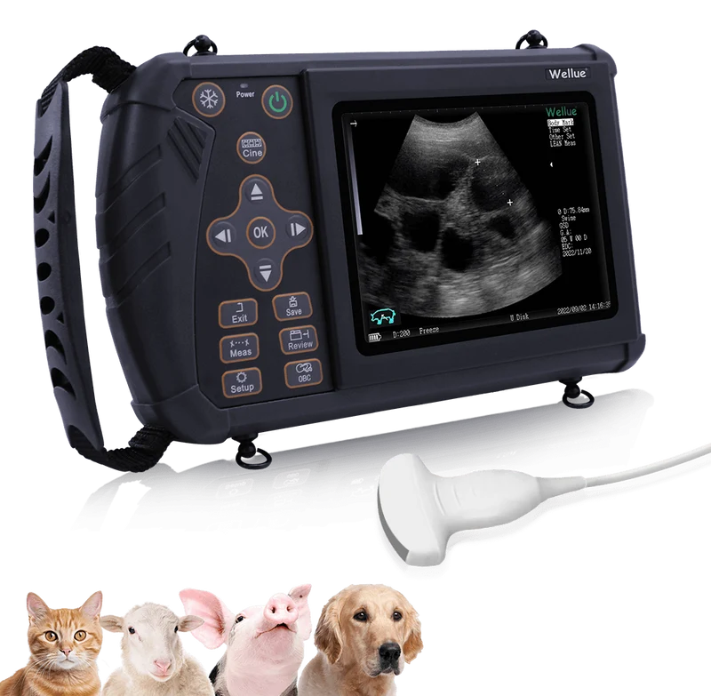 Tragbarer Veterinär-Ultraschall