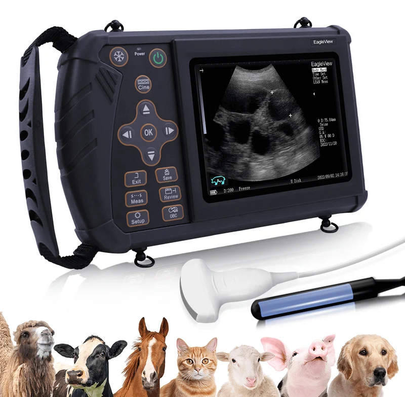Tragbarer Veterinär-Ultraschall
