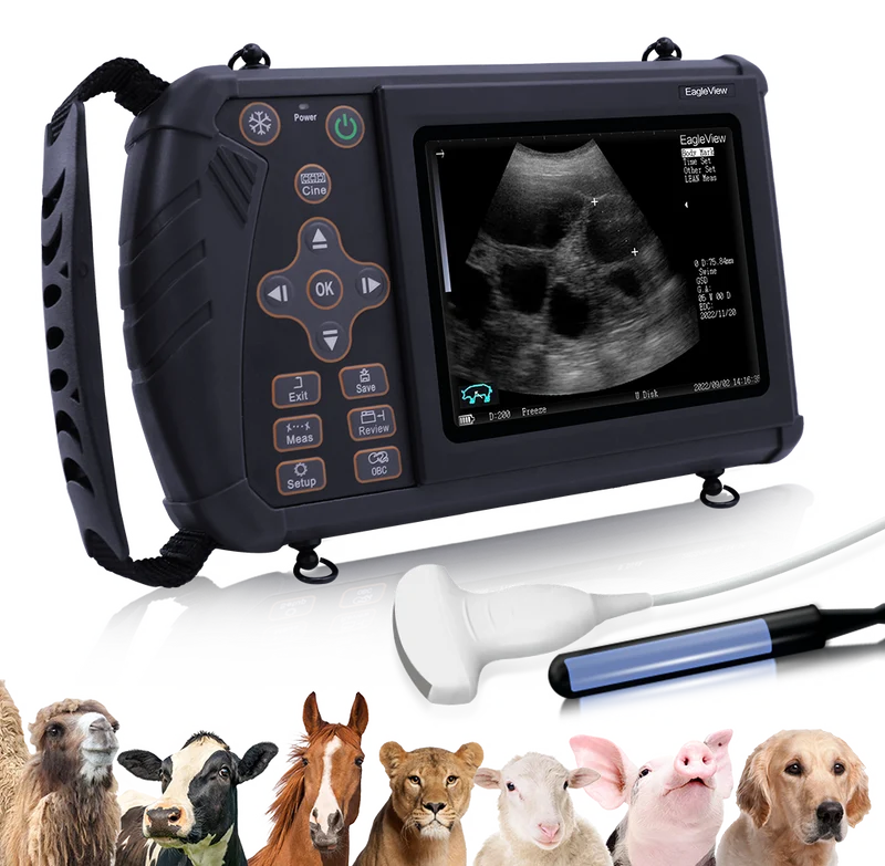 Tragbarer Veterinär-Ultraschall