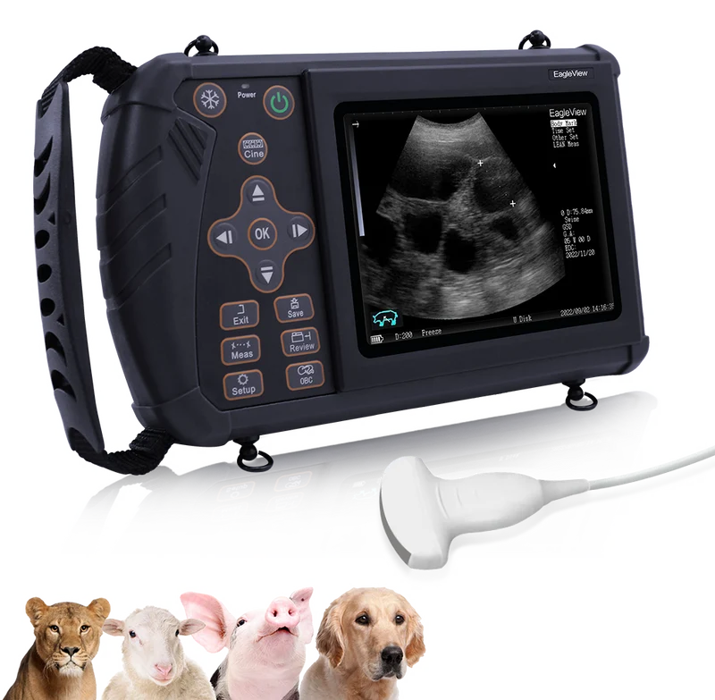 Tragbarer Veterinär-Ultraschall