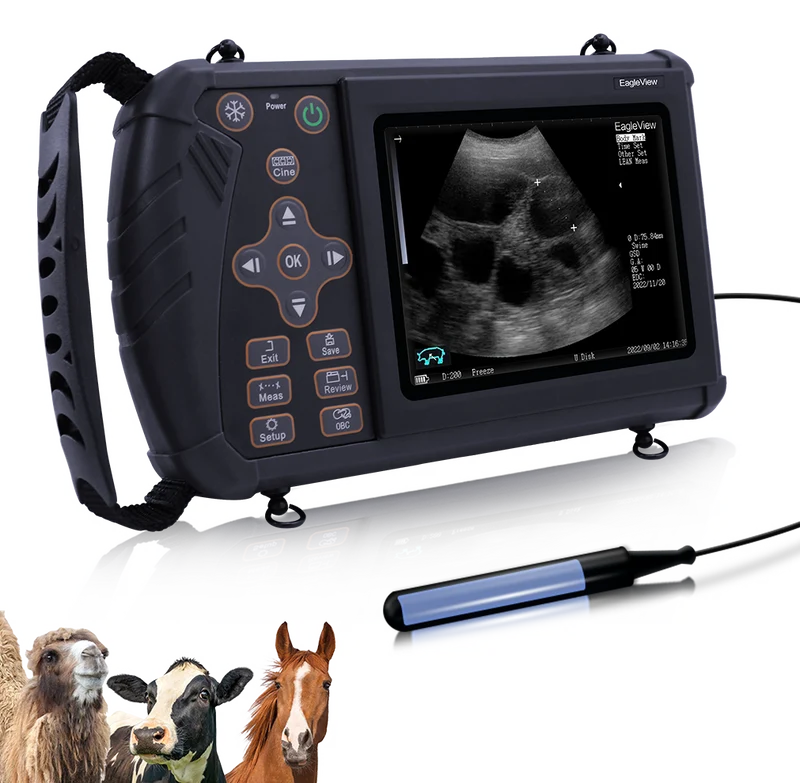 Tragbarer Veterinär-Ultraschall