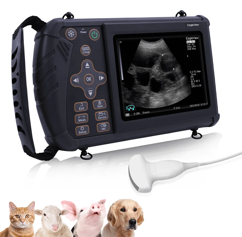 Tragbarer Veterinär-Ultraschall