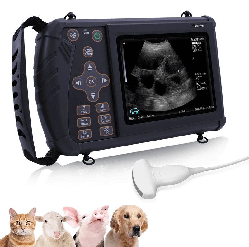 Tragbarer Veterinär-Ultraschall