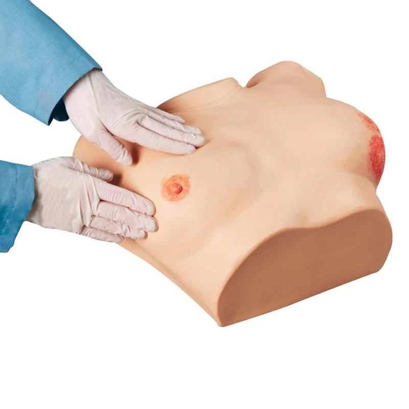 Erler Zimmer - med. Brustuntersuchungssimulator, erweiterte Version
