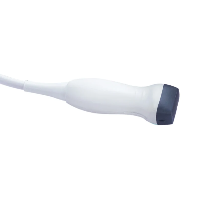 Phased-Array -Sonde P2-T