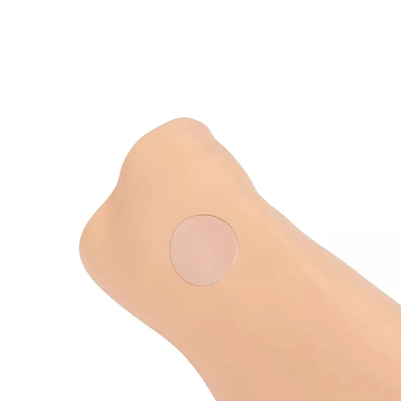 Louis Leg - intraossärer Task Trainer