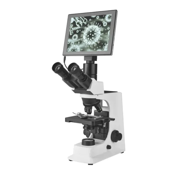 Servoscope Digitalmikroskop | Hellfeld