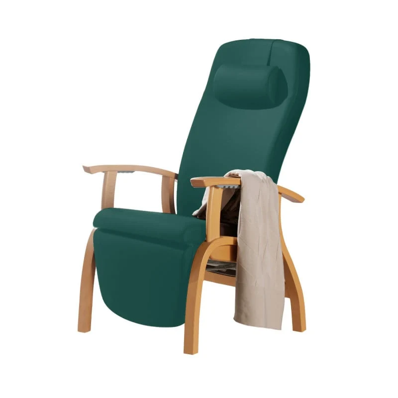Holz-Fero e-move