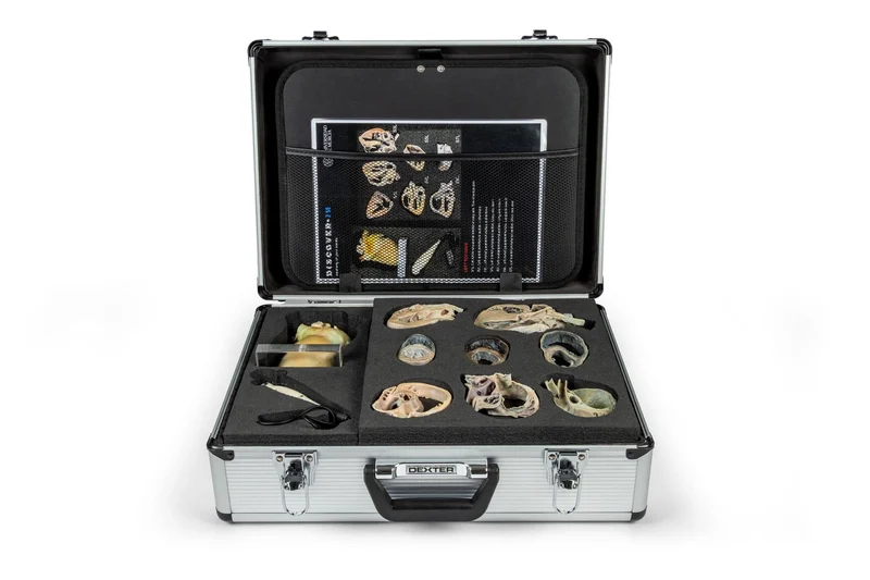 Hunde Echokardiographie Kit