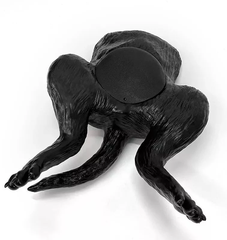 Ultraschalltrainer Hundeblase
