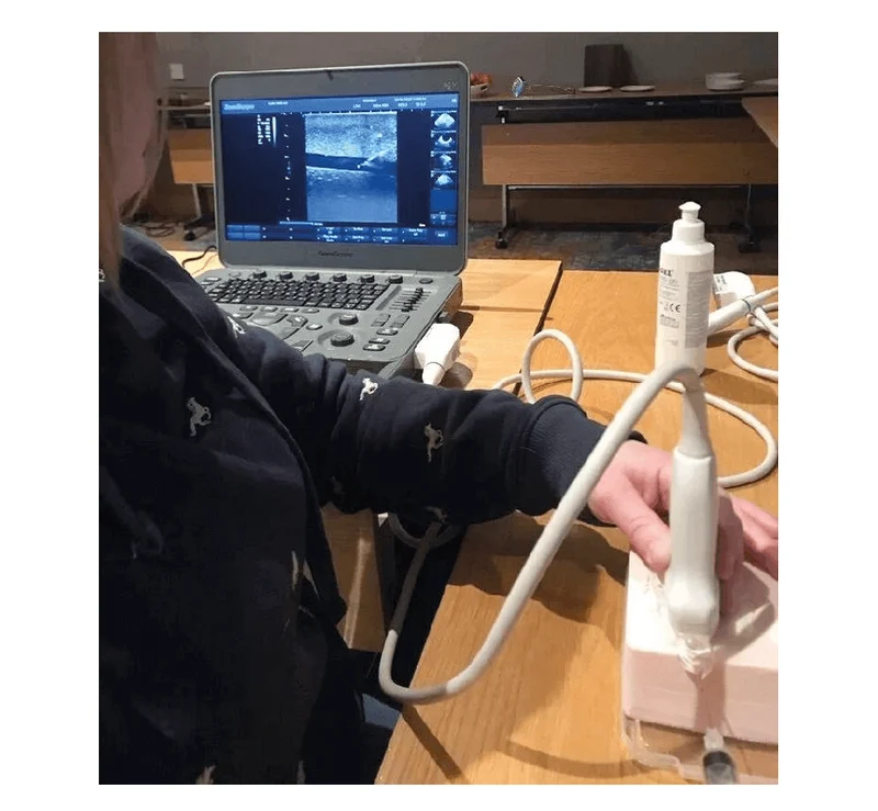 SonoEZ Ultraschalltrainer "tiefe Venenthrombose