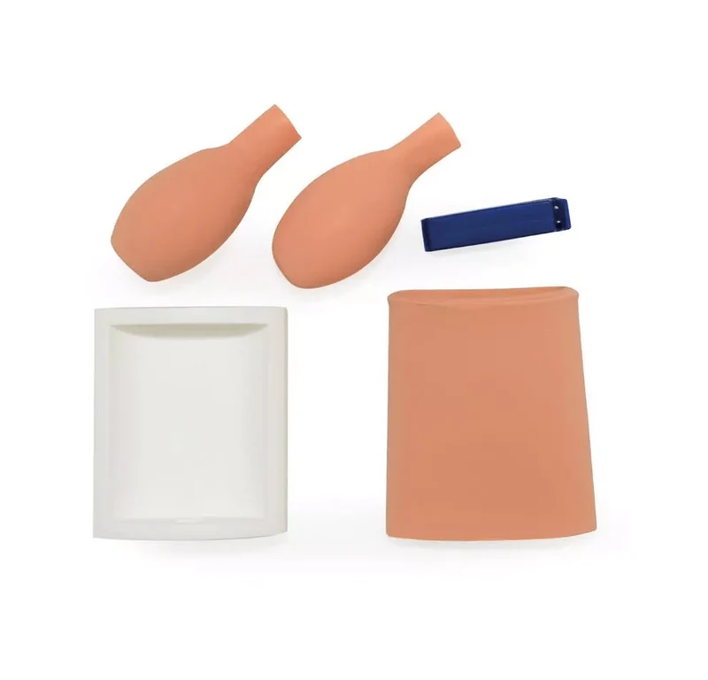 Blasenpunktionstrainer (Zystozentese)