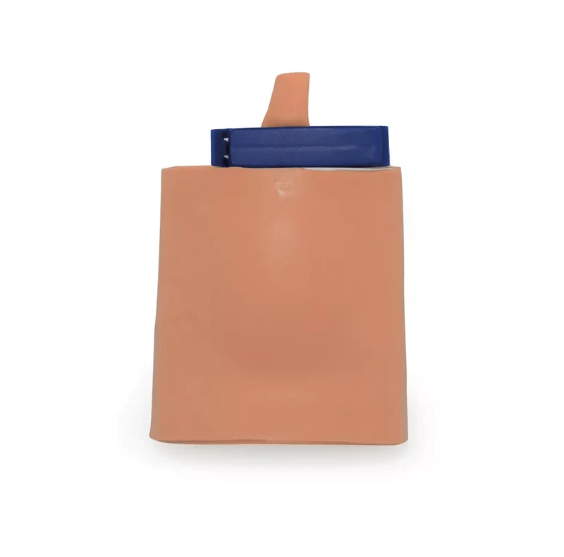 Blasenpunktionstrainer (Zystozentese)