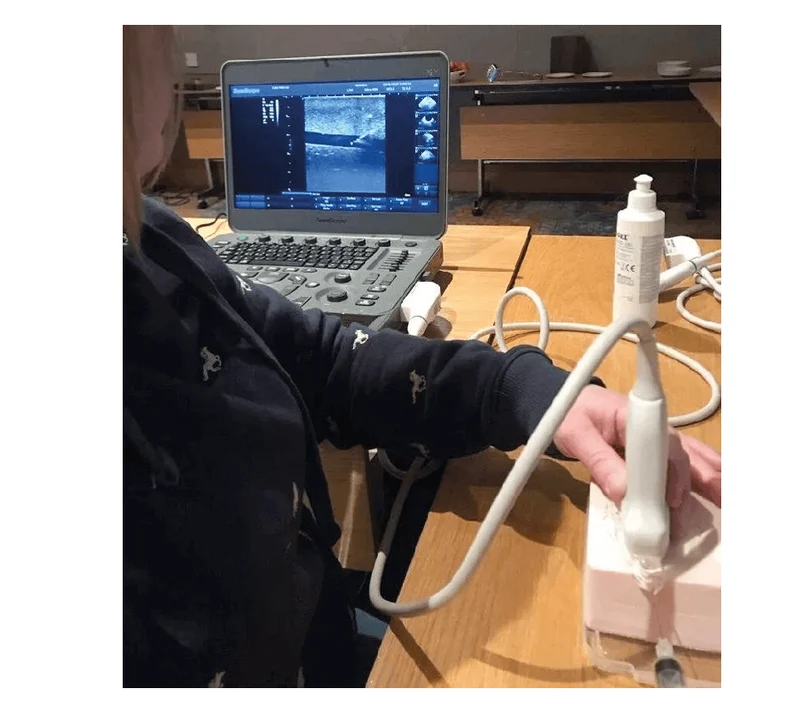 SonoEZ Ultraschalltrainer "Injektion"