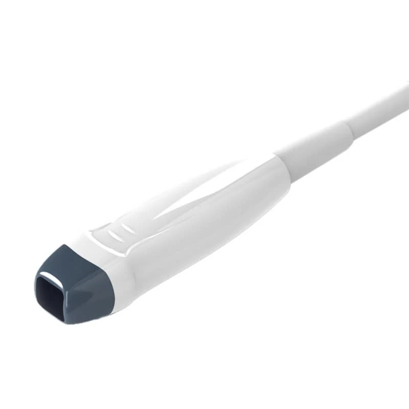 Phased-Array-Sonde D6P64L
