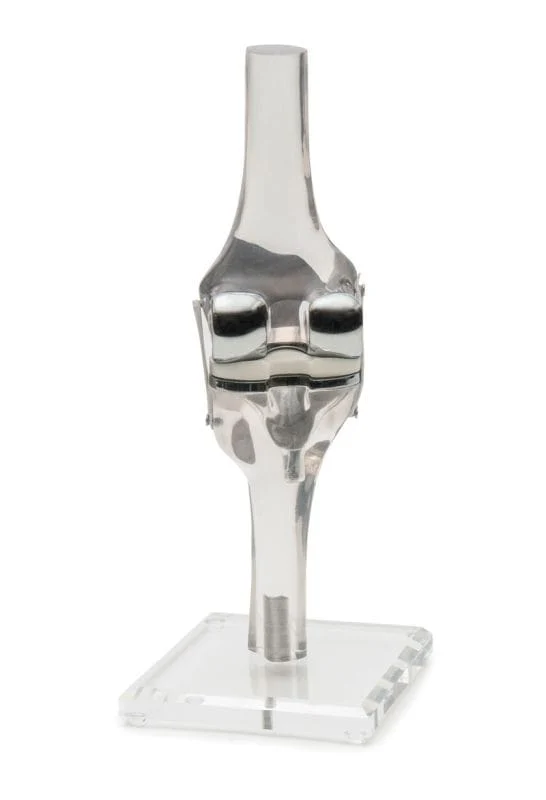 Kniemodell transparent mit Knie-TEP Endoprothesen-Implantat