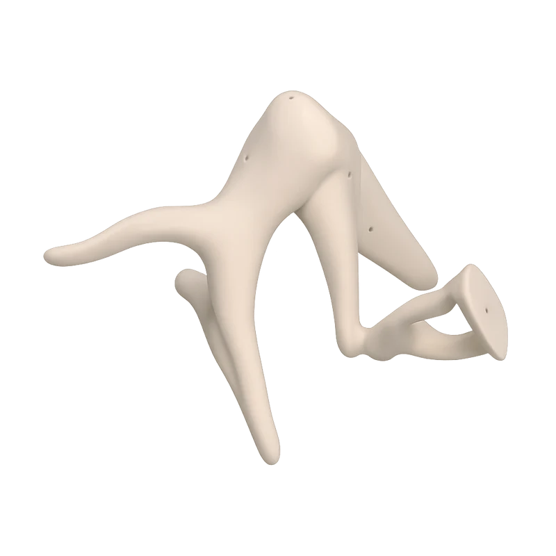 Gehörknöchelchen-Kette