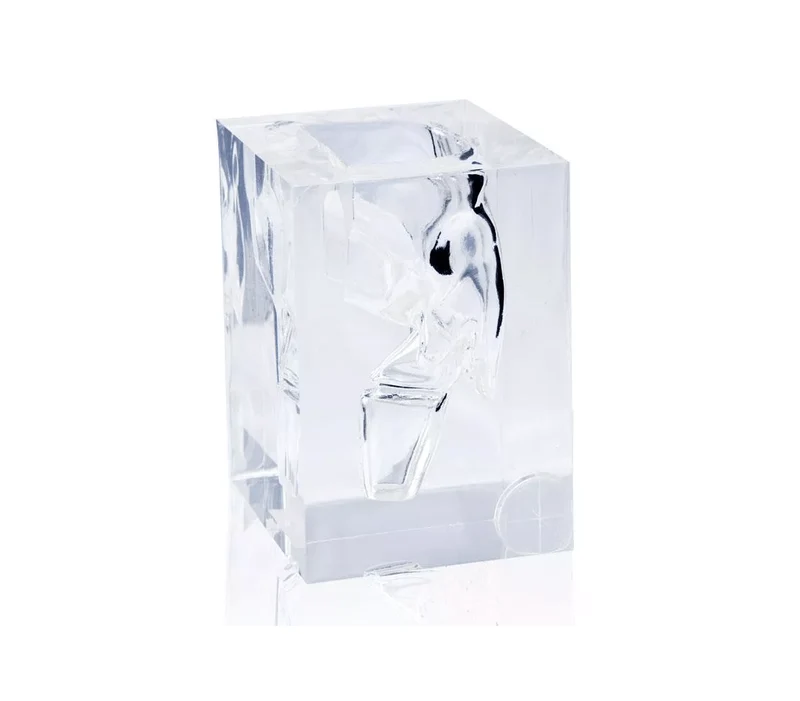 Transparentes Laryngopharynx Modell