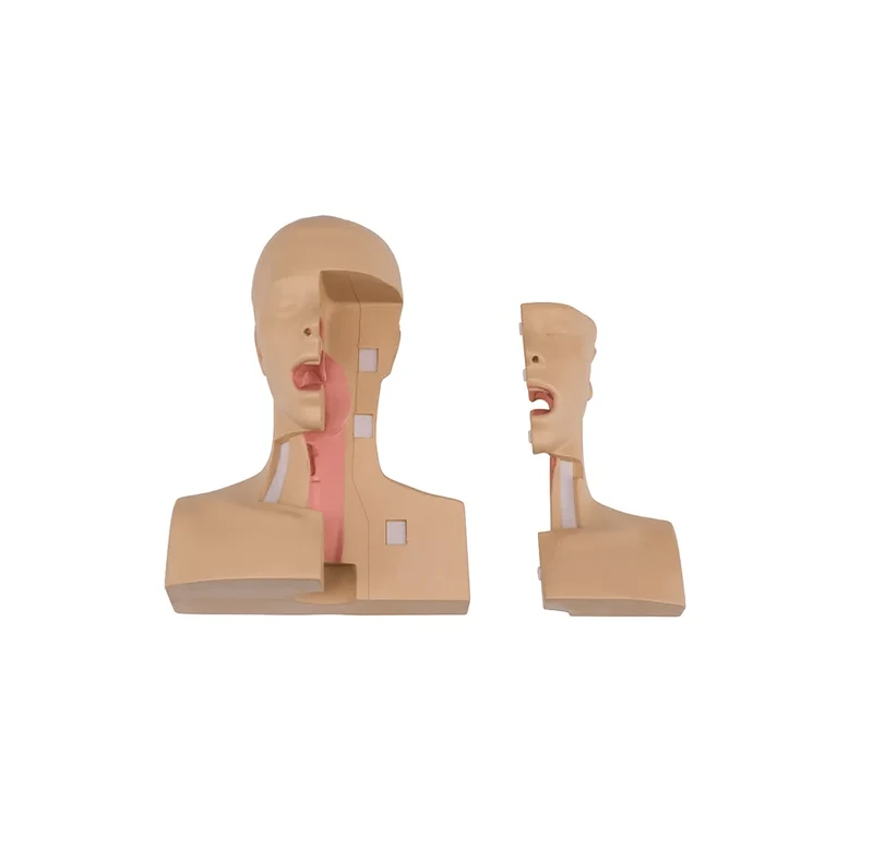 Tracheostomie Management Simulator