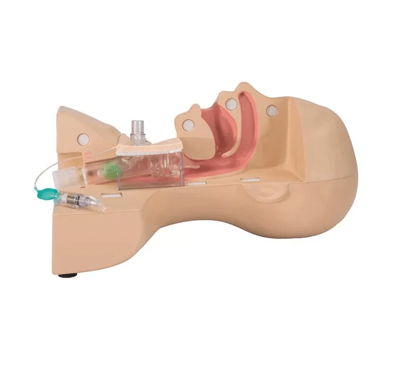 Tracheostomie Management Simulator