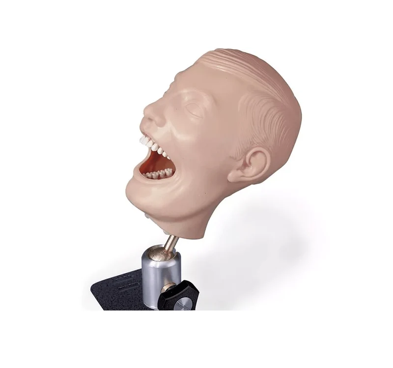 Dentalpuppe