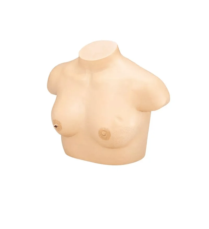Brustkrebs-Tastmodell