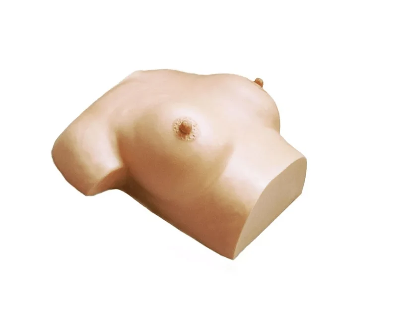 Brustpflege und -massagemodell