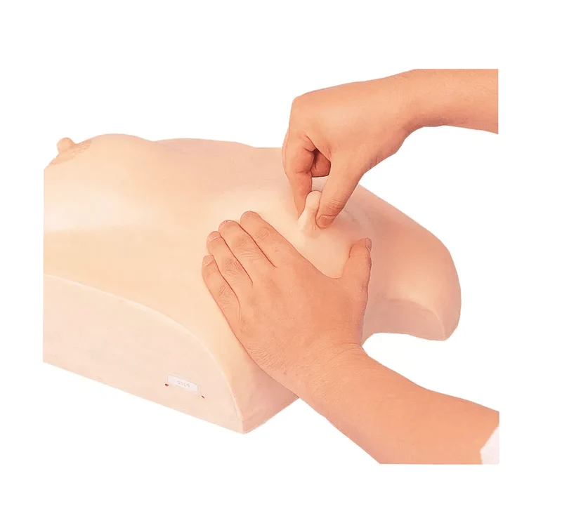Brustpflege und -massagemodell