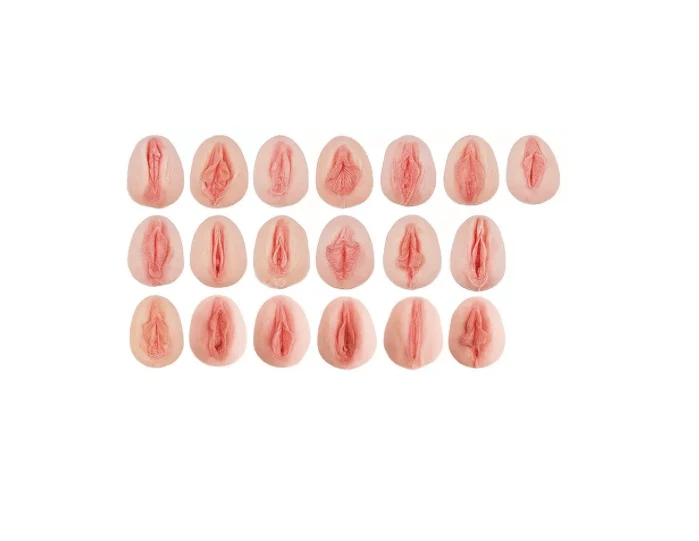 Vulva-Abdrücke mit vergleichender Anatomie