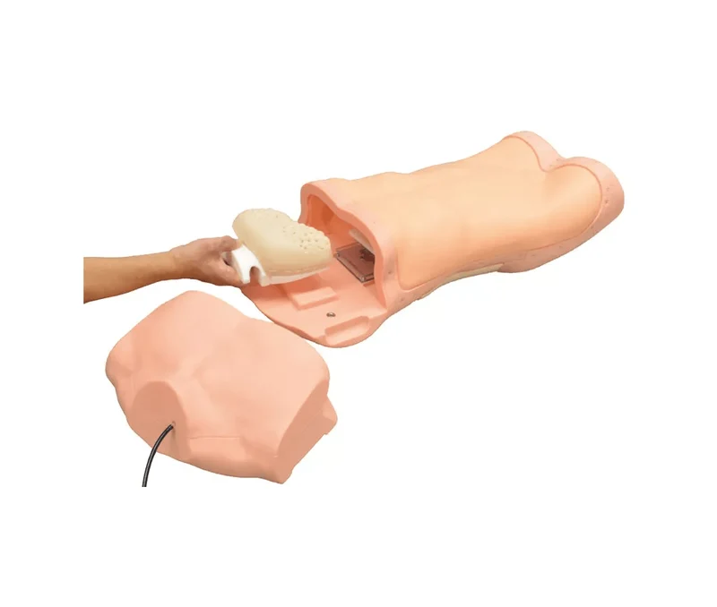 Abdominaler Untersuchungs-Simulator
