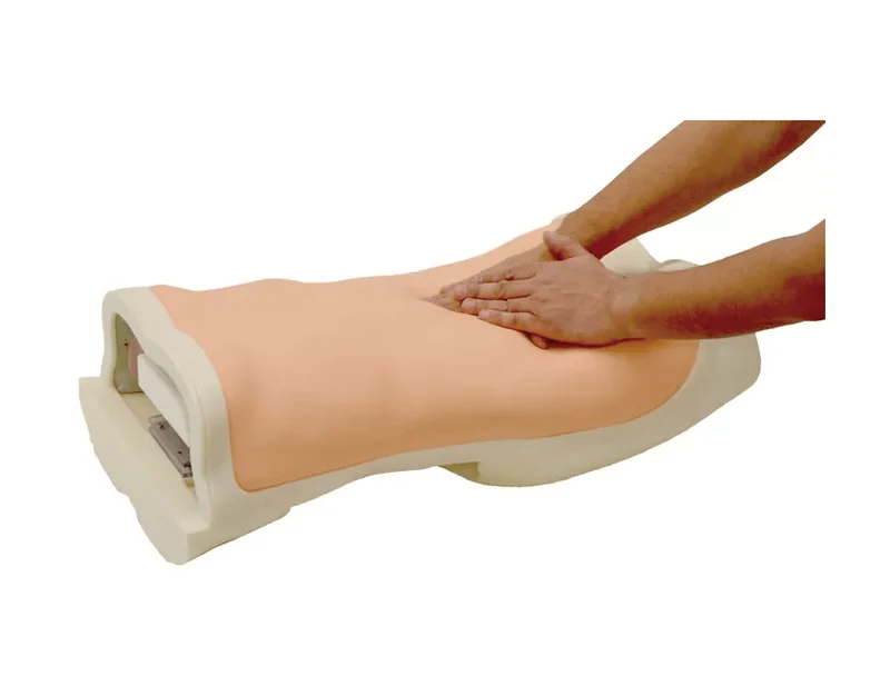 Abdominaler Untersuchungs-Simulator