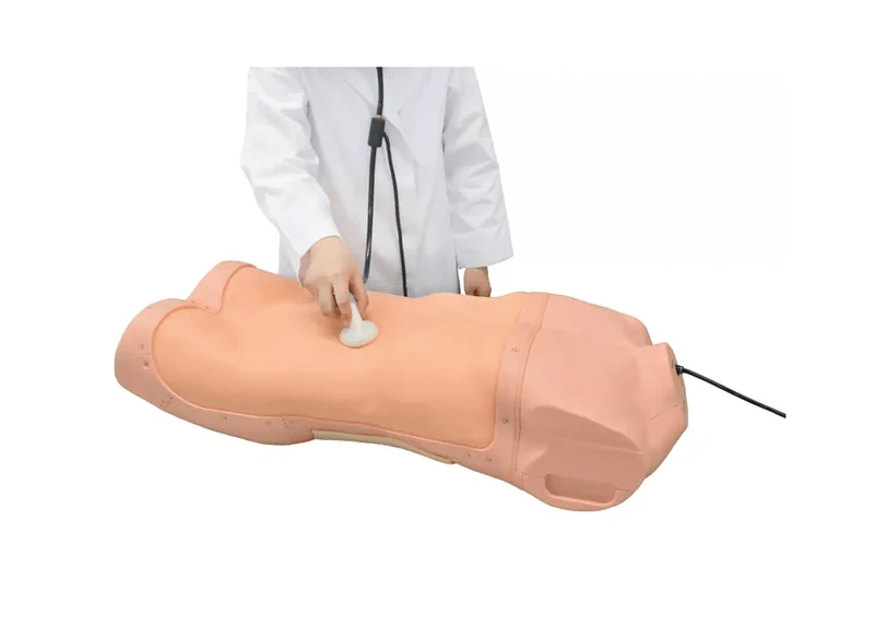 Abdominaler Untersuchungs-Simulator