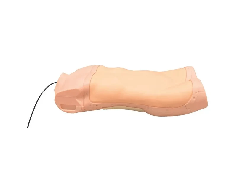 Abdominaler Untersuchungs-Simulator