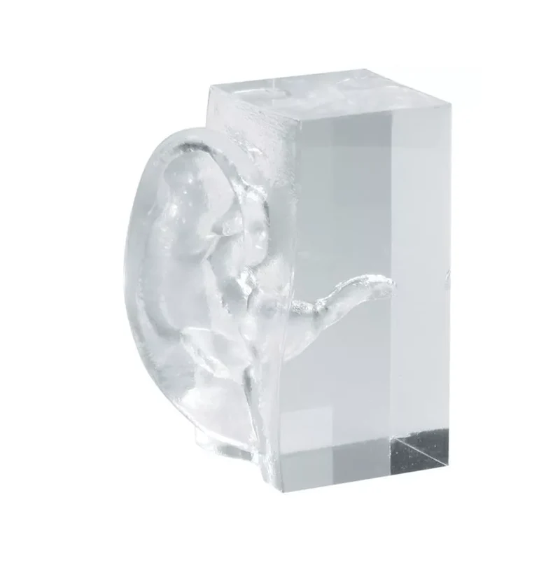 Transparentes Ohrmodell
