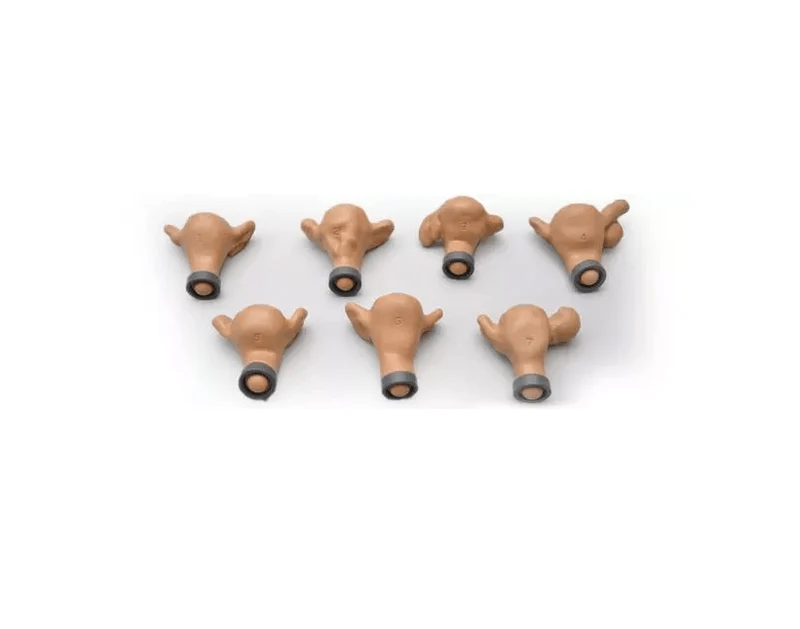 Set mit sieben Uteri für R10183