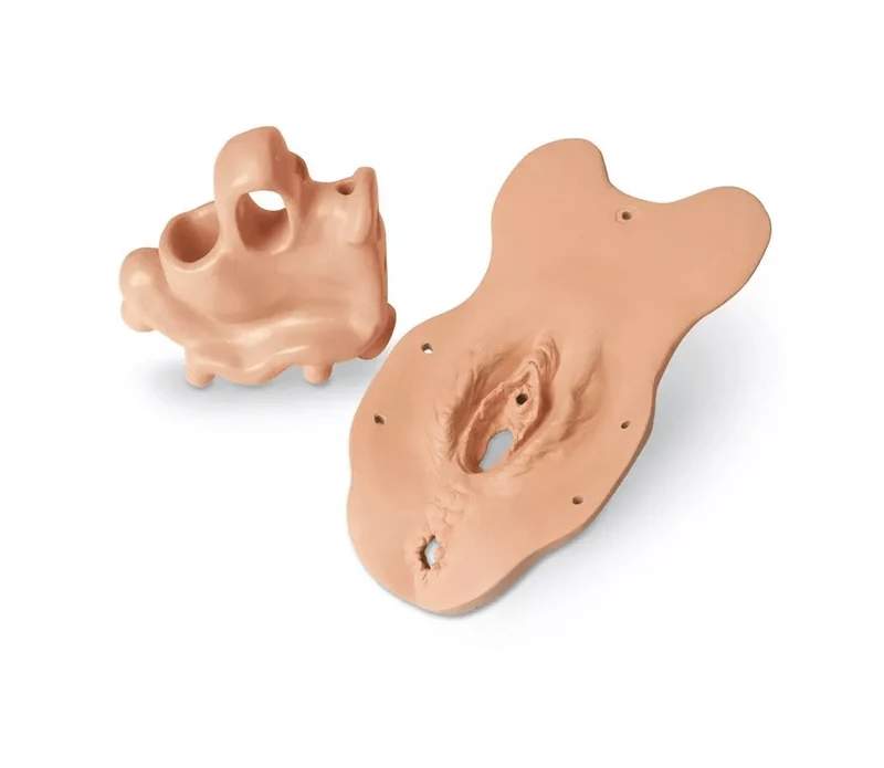 Untersuchungsmodul Menopause