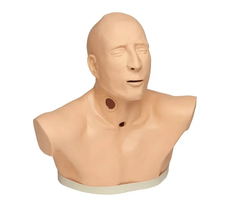 Tracheostomapflege-Simulator