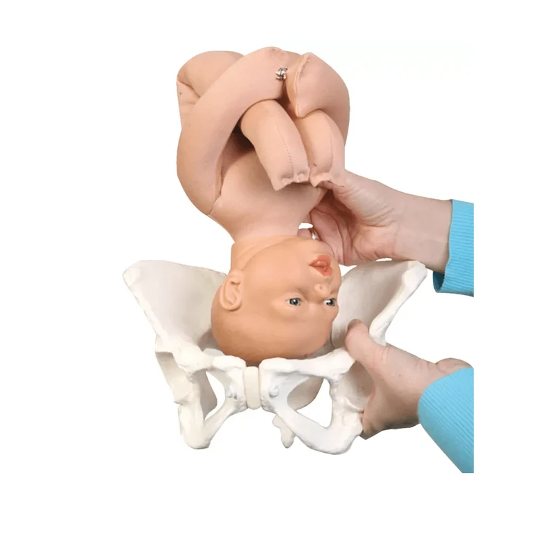 Luxus Geburtsmodell-Set